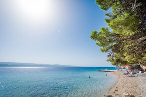 鄰近海灘、躺椅、遮陽傘、海灘浴巾