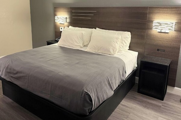 King Suites | Draps en coton égyptien, literie de qualité, couette en duvet, bureau