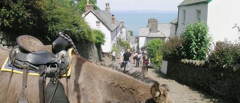 Clovelly | Devon, England