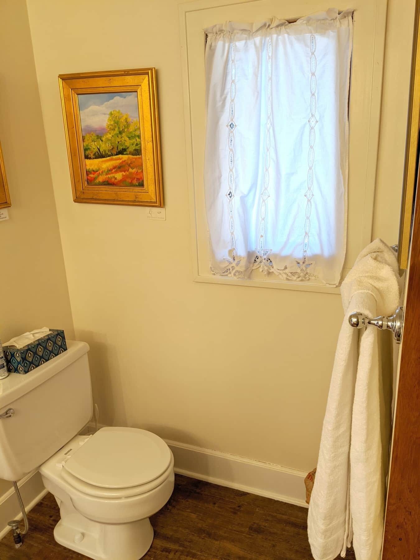 A bathroom with a toilet, a framed painting, and a window with a curtain.