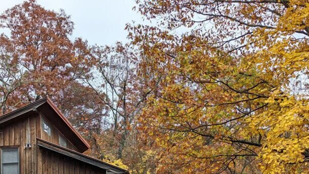Un rustico chalet di legno con una scala in legno che conduce all'ingresso, circondato da foglie autunnali.