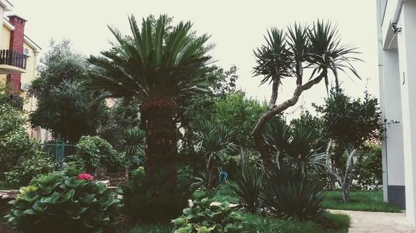 Property grounds - Guest house Djonovic (Petrovac)