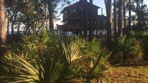 A two-story wooden cabin surrounded by tall pine trees and a grassy area with palm-like plants. - Amazing Ochlockonee Riverfront Home!  (Panacea)