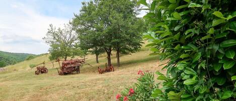 Overnatningsstedets område