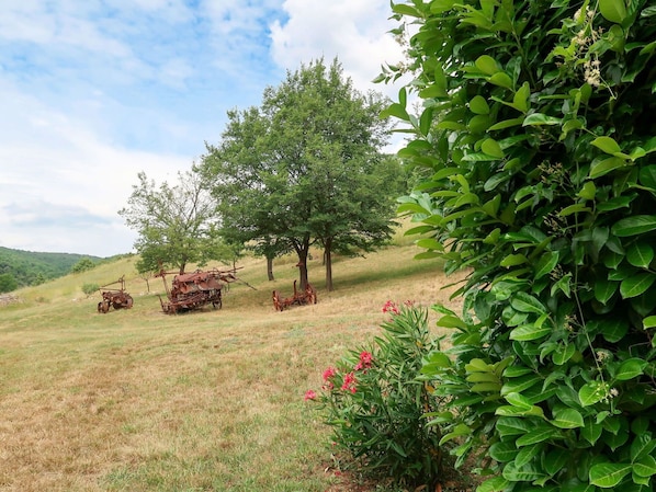Parco della struttura