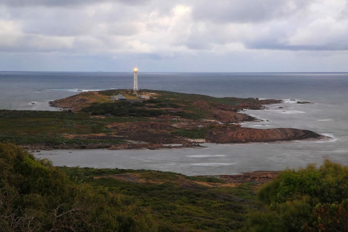 Augusta Beachfront Holiday Home - watch the whales go past or over the road for a swim - Augusta Beachfront Holiday Home — image 20