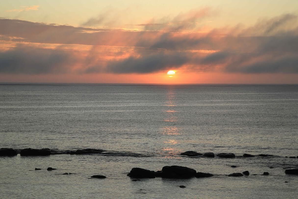 Augusta Beachfront Holiday Home - watch the whales go past or over the road for a swim - Augusta Beachfront Holiday Home — image 17
