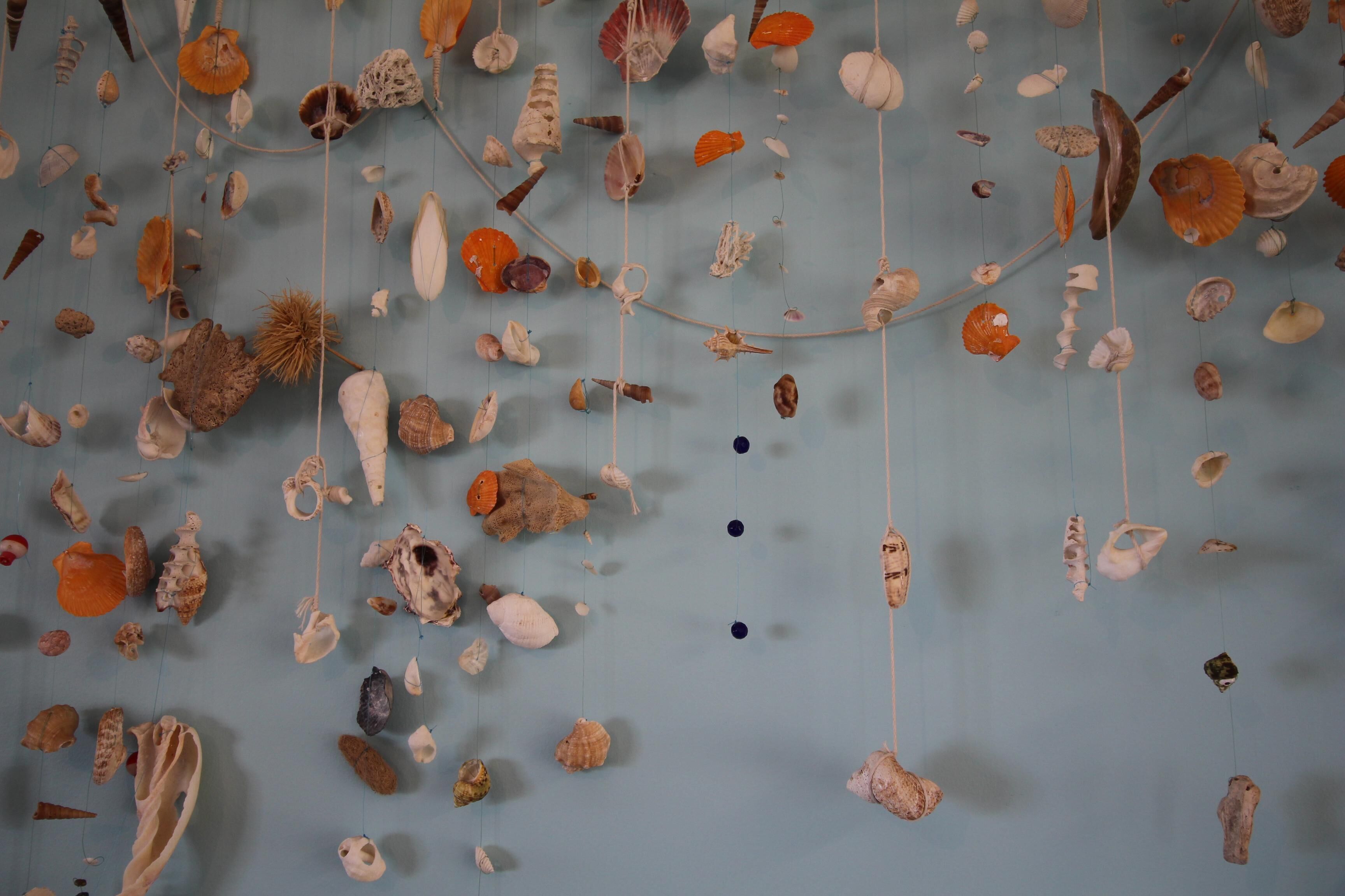 Storm Bay View - lookout over the ocean and is dog friendly - Storm Bay View - dog friendly — image 5