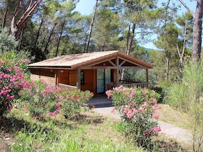 Exterior - Stunning private villa for 6 people with WIFI, A/C, pool, TV, terrace and pets allowed (Solliès-toucas)