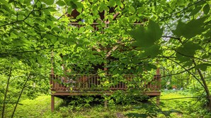 A wooden deck with a railing, surrounded by lush green foliage. - Hot Tub, Fire Pit, Large Decks & Blackstone Griddle (Logan)