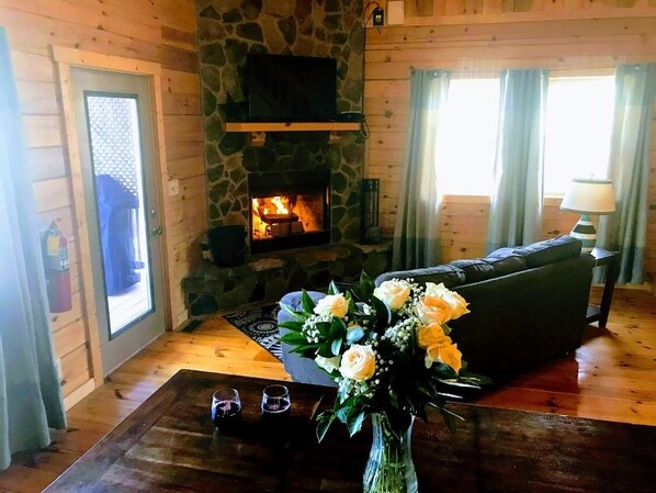 Smart TV, fireplace, video games, DVD player