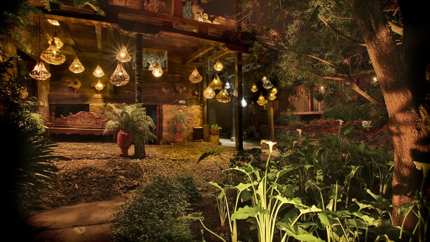 Un jardin intérieur agrémenté de luminaires suspendus, d’un banc en bois et de plantes en pot.