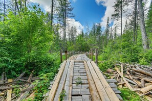 A wooden boardwalk through a forest with tall trees and dense foliage. - 400-Acre Outdoor Enthusiast's Lodge in Mancelona! (Mancelona)