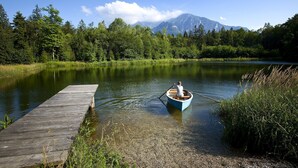 Lago