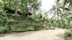 A dirt path in a lush, green forested area with a small structure on a hill. - Segajih Central Stay and Education (Kokap)