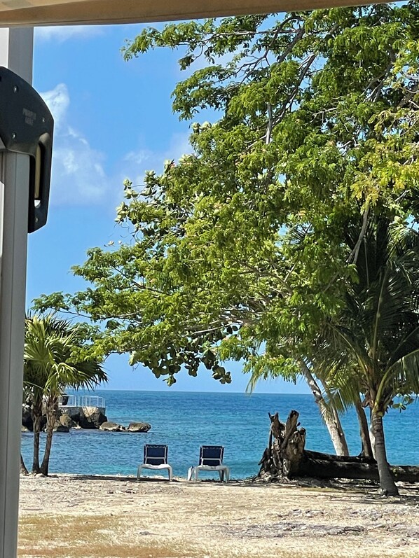 On the beach, sun loungers, beach towels - Negril Jamaica Beachfront house in Little Bay County Club , Pool , Free wifi A/C (Negril)