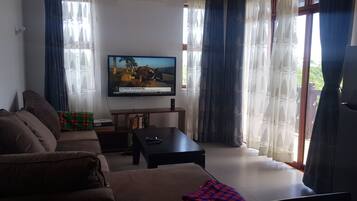 Televisie, een videogameconsole en boeken