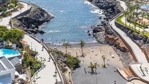 Un resort costero con un litoral rocoso, piscina y una zona de playa con palmeras.
