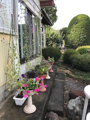 Jardín