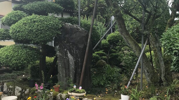 Ein Garten mit verschiedenen Kübelpflanzen und Bäumen, darunter ein großer Felsen und ein kleines, hausähnliches Gebäude.