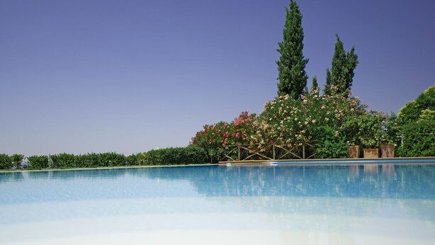A clear blue swimming pool surrounded by lush greenery and tall trees. - Wonderful private villa with pool, A/C, WIFI, balcony and panoramic view, close to Greve In Chia... (Tavarnelle Val Di Pesa)
