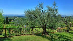 A vineyard with a wooden fence and a clear view of the landscape. - Wonderful private villa with pool, A/C, WIFI, balcony and panoramic view, close to Greve In Chia... (Tavarnelle Val Di Pesa)