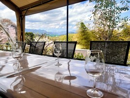 日式独立别墅, 4 间卧室, 冰箱和微波炉, 山景 (Private villa,Max 16guests,Mitsuba) | 露台