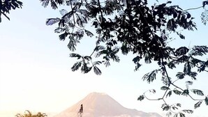 Paisaje montañoso con un pico destacado, rodeado de vegetación densa y plantas con flores.