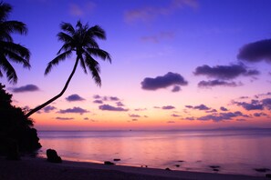 Una spiaggia con palme e un tramonto.