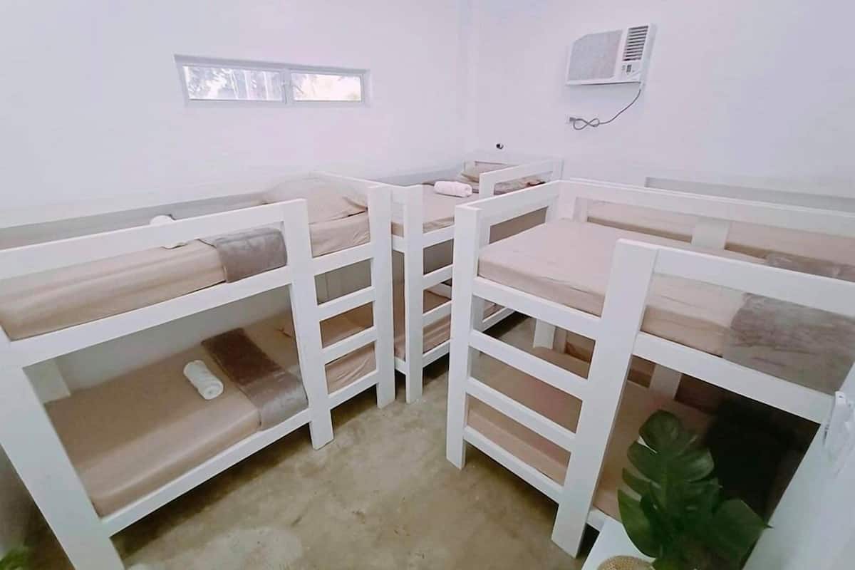 Una habitación con literas, una mesita pequeña y una planta en maceta.