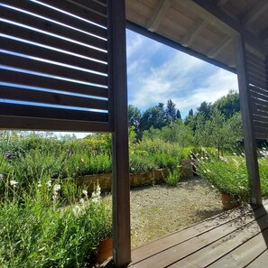 Property grounds - Peaceful Eco House in the Tuscan hills (casole d'elsa)