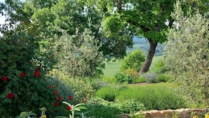 Un jardín con diversas plantas y flores, un muro de piedra y un árbol.