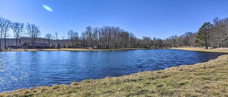 A clear blue sky, a large body of water, and a grassy area with trees.