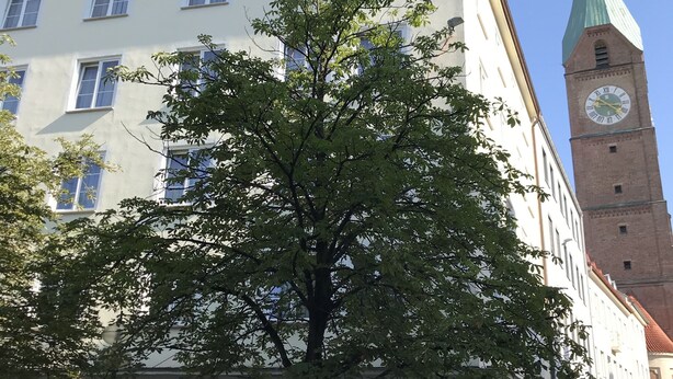 Un edificio con varias ventanas y una torre del reloj.