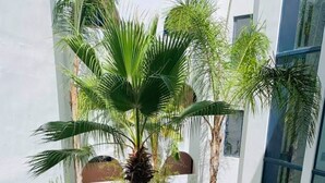 A modern building with a courtyard featuring palm trees and well-maintained greenery. - Appart 4/6 people sea and mountain view, outdoor and inter heated swimming pool (Peniscola)