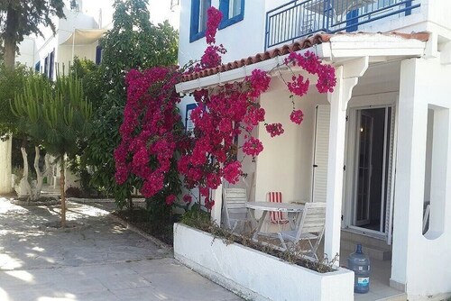 BO096 by Villaofsummer