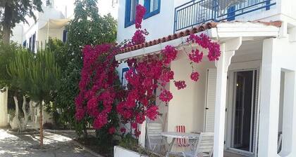 BO096 by Villaofsummer