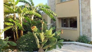 Jardín