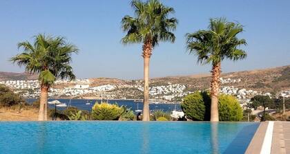 BO092 by Villaofsummer