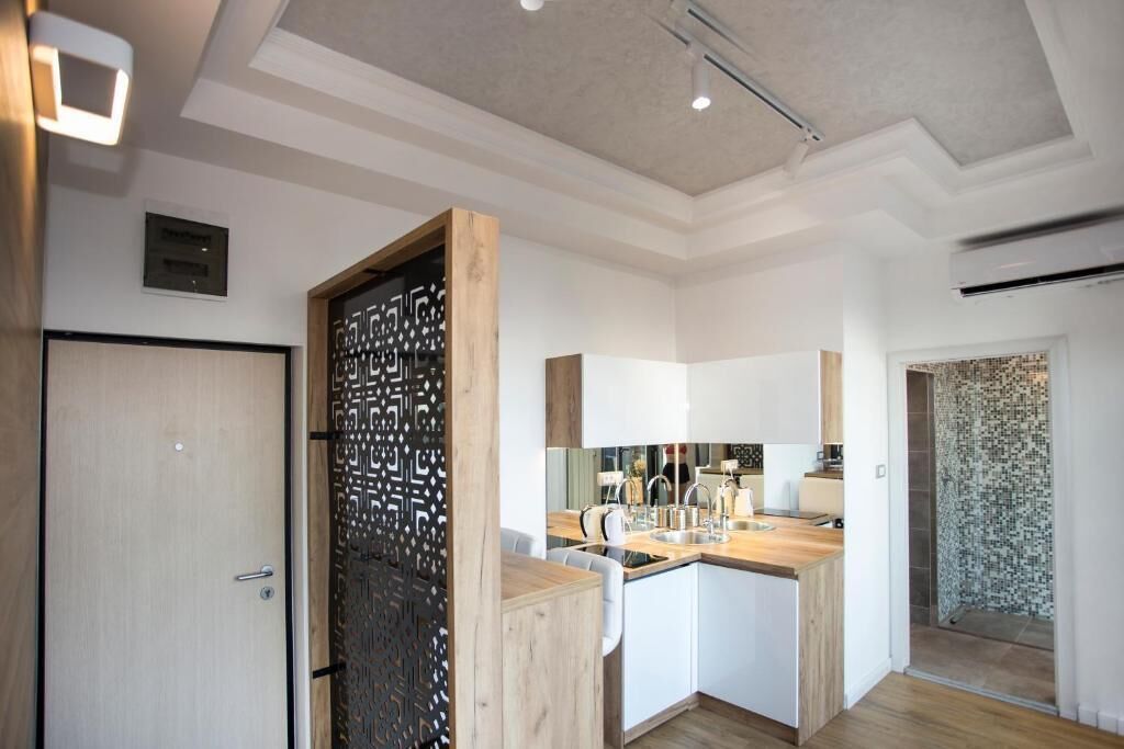 luxury apartment, 1 bedroom | private kitchen | full-sized fridge, coffee/tea maker, electric kettle, toaster