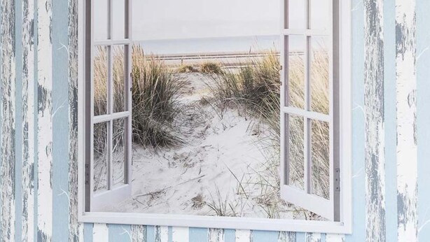 Une fenêtre donnant sur un sentier de plage et des dunes.