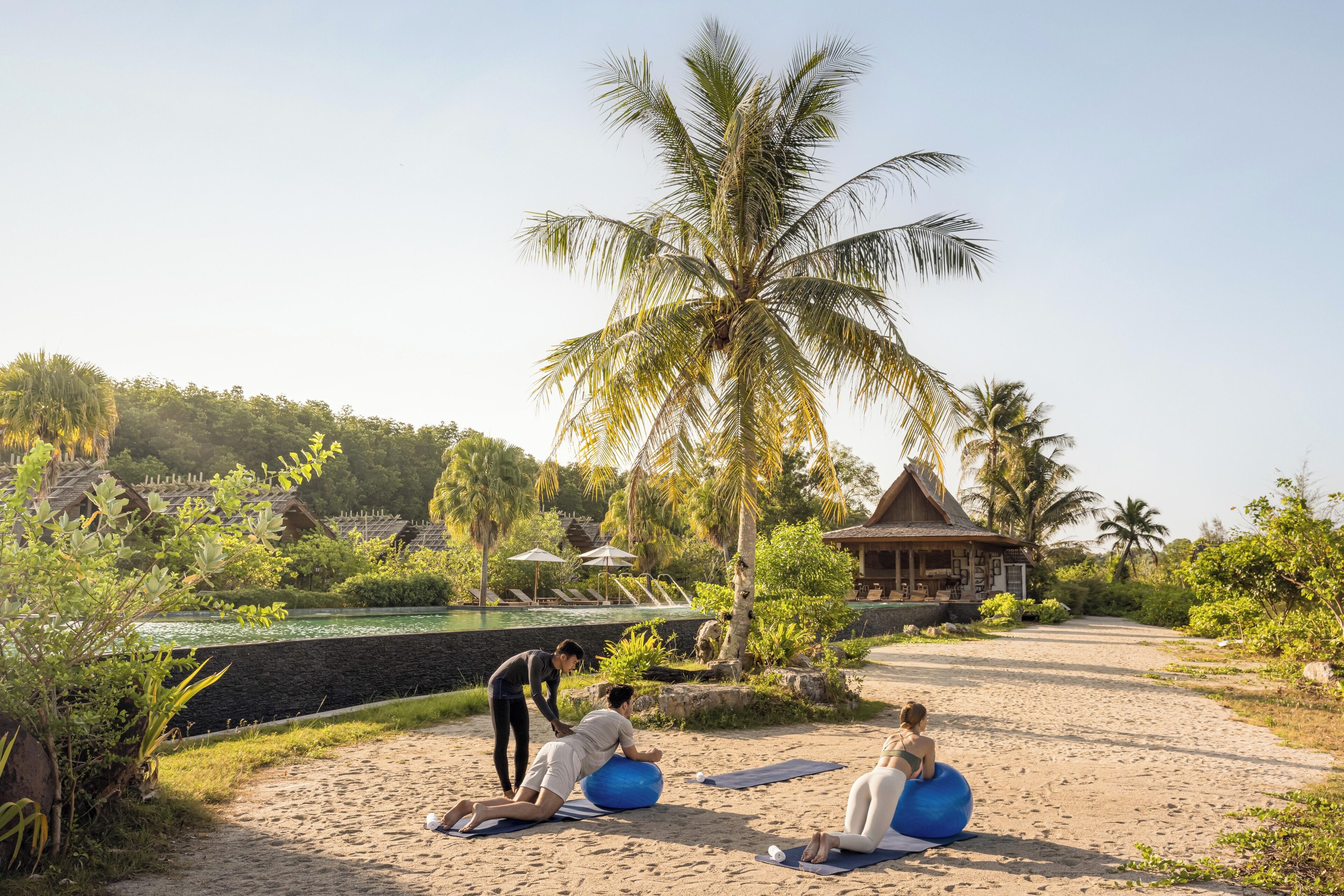 A beachside setting with a pool, palm trees, and a thatched-roof building.