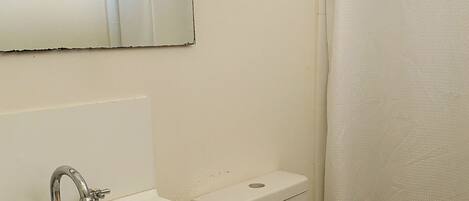 A small, clean bathroom with a white sink, a toilet, and a shower curtain.