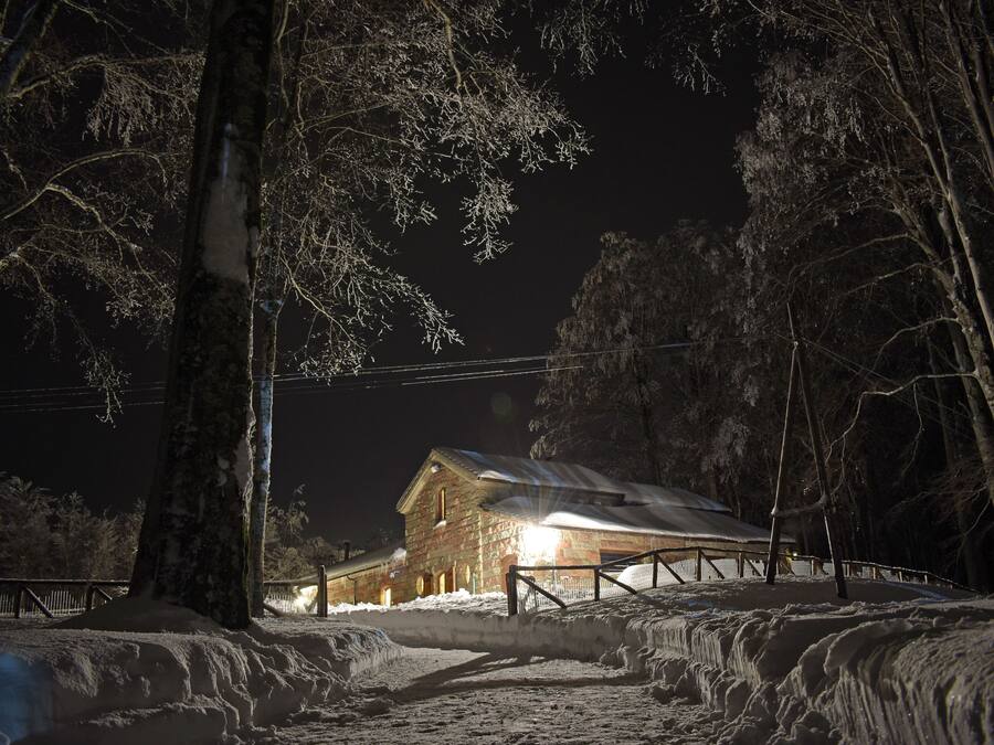 Paisaje nevado con una cabaña de madera y una valla.