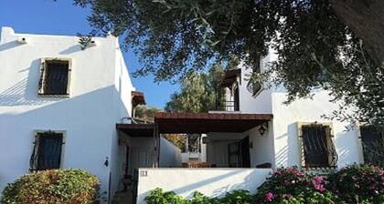 BO084 by Villaofsummer