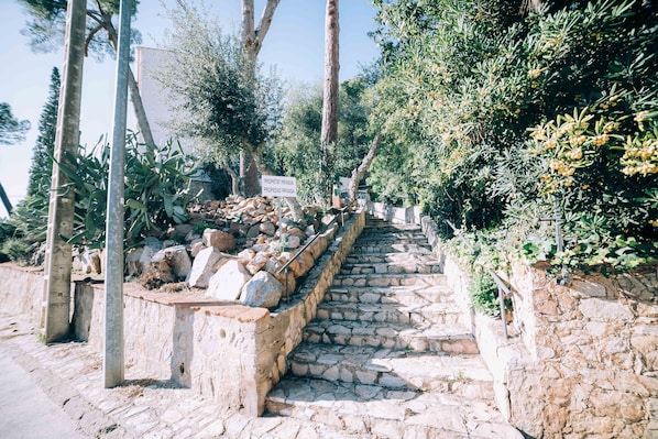 Eine Steintreppe führt einen Hügel hinauf, umgeben von Bäumen und Felsen.