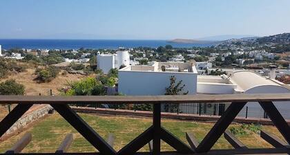 BO089 by Villaofsummer