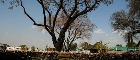 Área de parrilladas y picnic