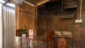 Un espace d’accueil avec un mur en bois, une horloge, un téléviseur et une vitrine en verre contenant un bonsaï et une statue.