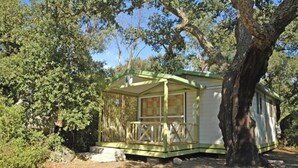Een klein, gelijkvloers huisje met een veranda, omringd door bomen.